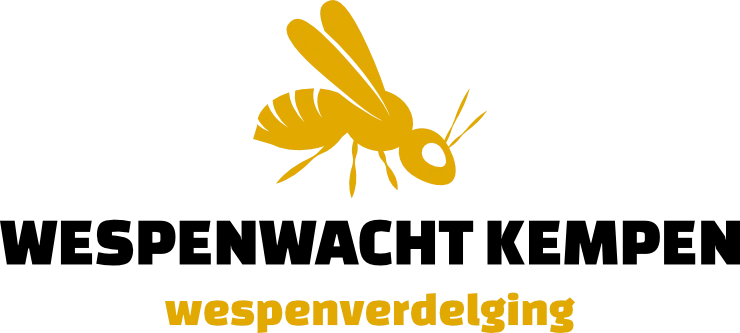 Achtergrondfoto van een wesp in een bloem